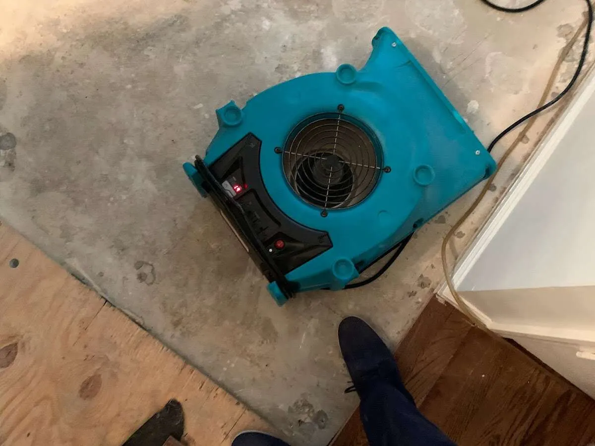 Air mover drying subfloor during Leak Detection & Repair in Hyde Park